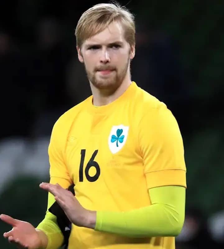 Alternative view of Republic of Ireland Centenary Jersey 2021