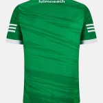 Limerick 2022 GAA Jersey