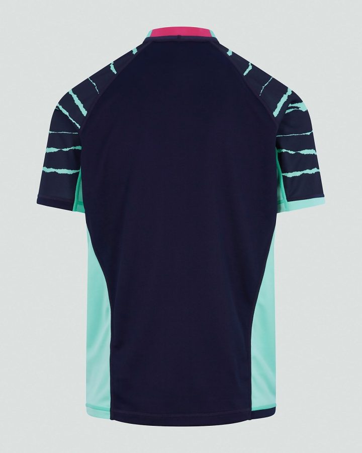 Alternative view of IRFU Ireland 2022 Alternate Jersey