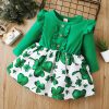 Long Sleeve Toddler Ruffle Outfit