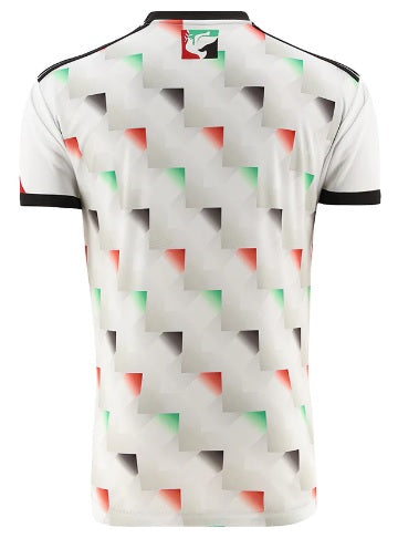 Dublin Bohemian 2023 Palestine Away Jersey Dublin Bohemian 2023 Palestine Away Jersey - Image 2