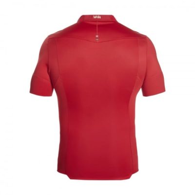 Alternative view of Irish And British Lions 2021 Test Jersey