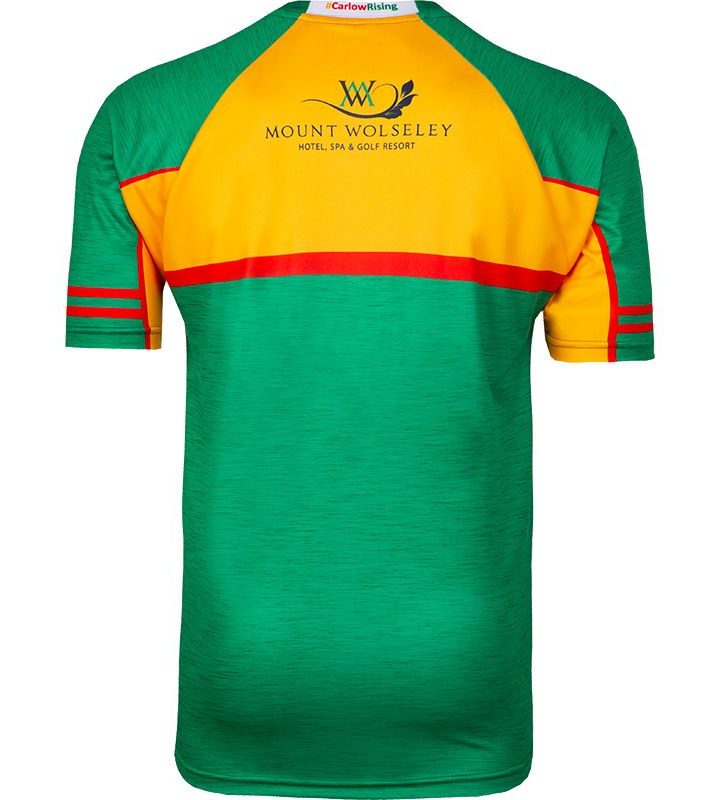 Alternative view of Carlow GAA Jersey