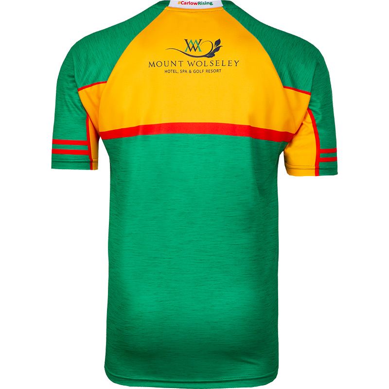 Carlow GAA Jersey Carlow GAA Jersey - Image 2
