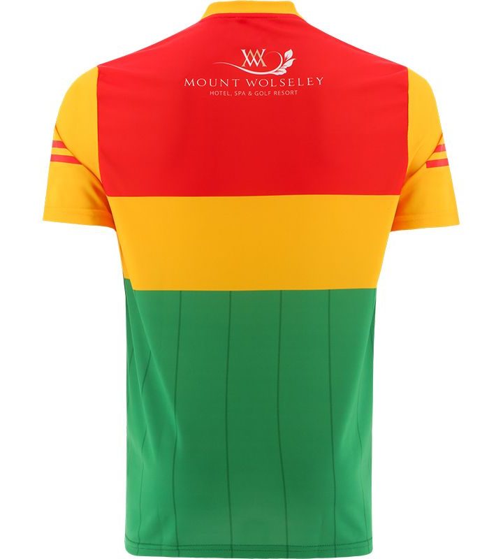 Alternative view of Carlow 2022 Home Jersey