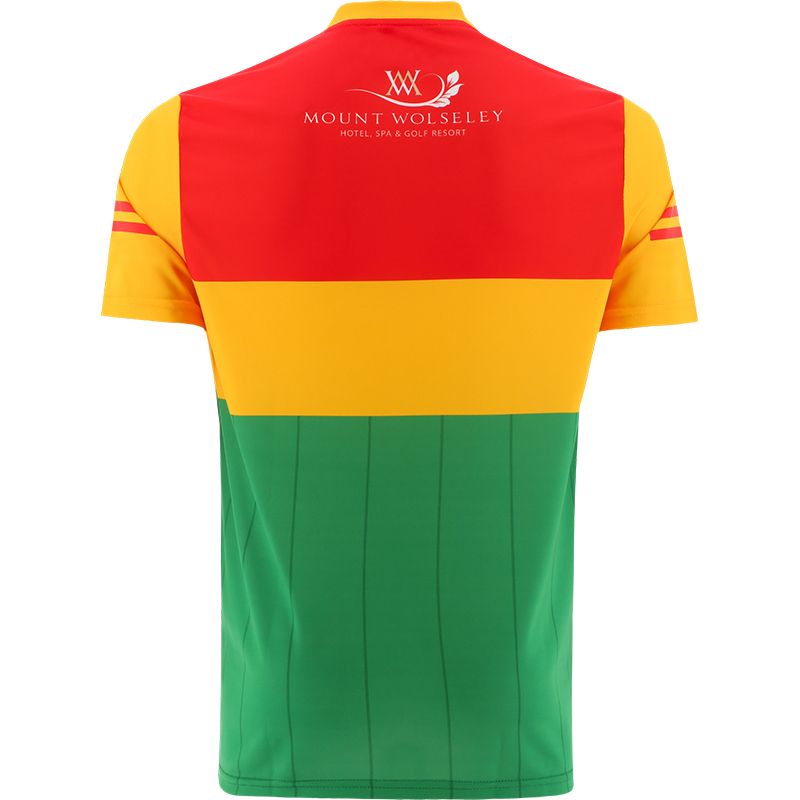 Carlow 2022 Home Jersey Carlow 2022 Home Jersey - Image 2