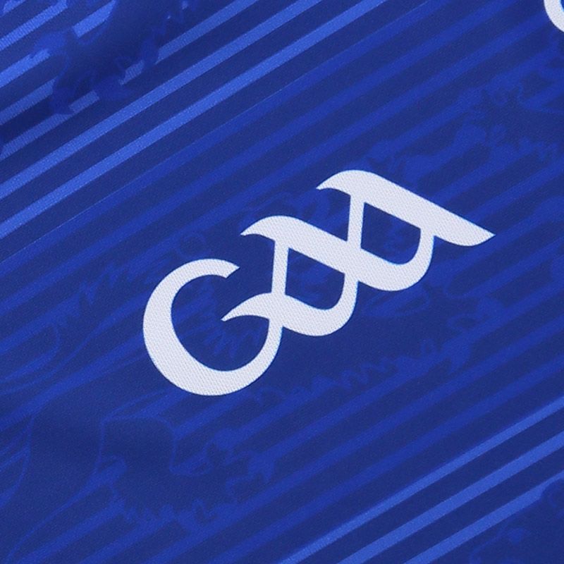 Cavan GAA 2021/22 Home Jersey Cavan GAA 2021/22 Home Jersey - Image 3