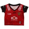 Down 2023 GAA Baby 2 Stripe Home Jersey