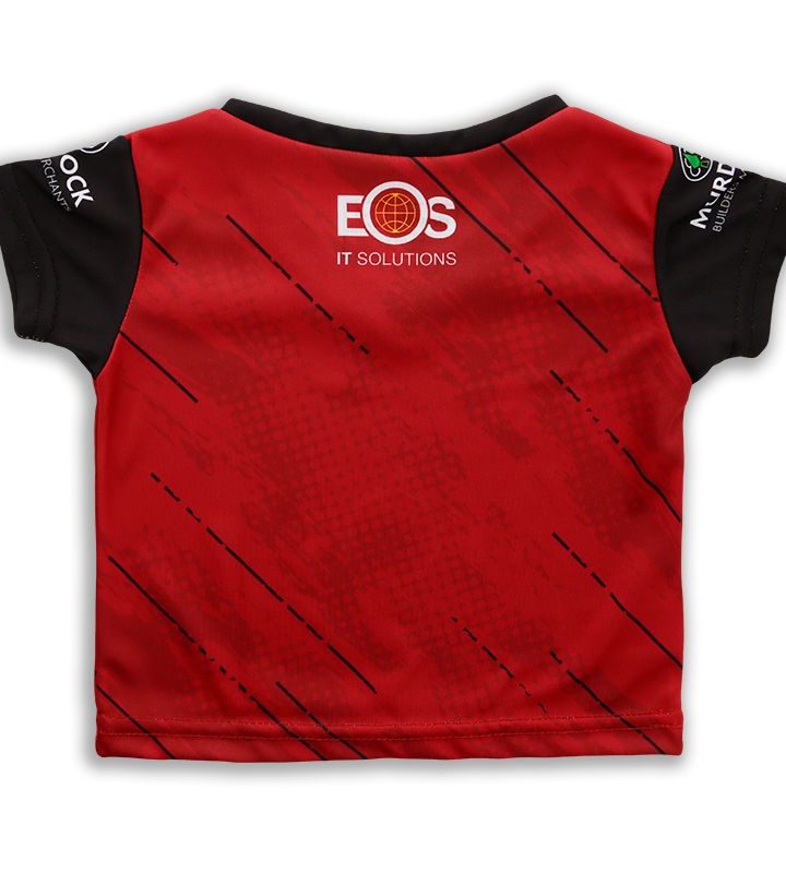 Alternative view of Down 2023 GAA Baby 2 Stripe Home Jersey