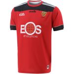 Down GAA 2022 Home Jersey