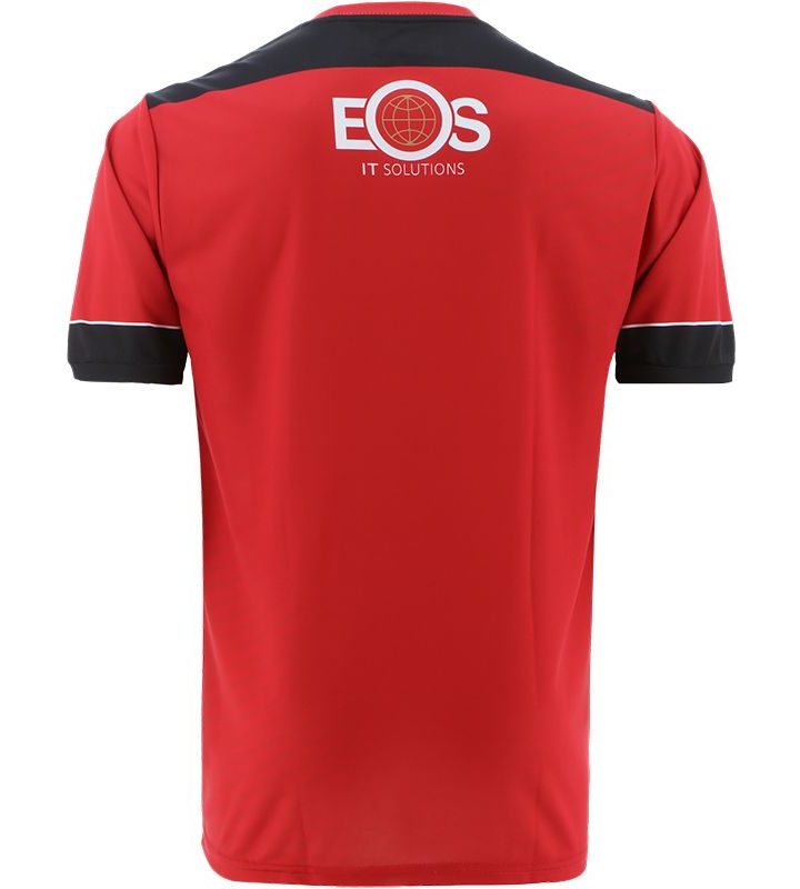 Alternative view of Down GAA 2022 Home Jersey