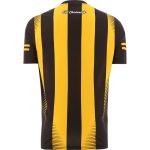 Kilkenny GAA 2022 Home Jersey