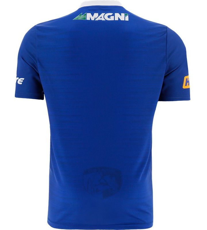 Alternative view of Laois GAA 2023 Home Jersey