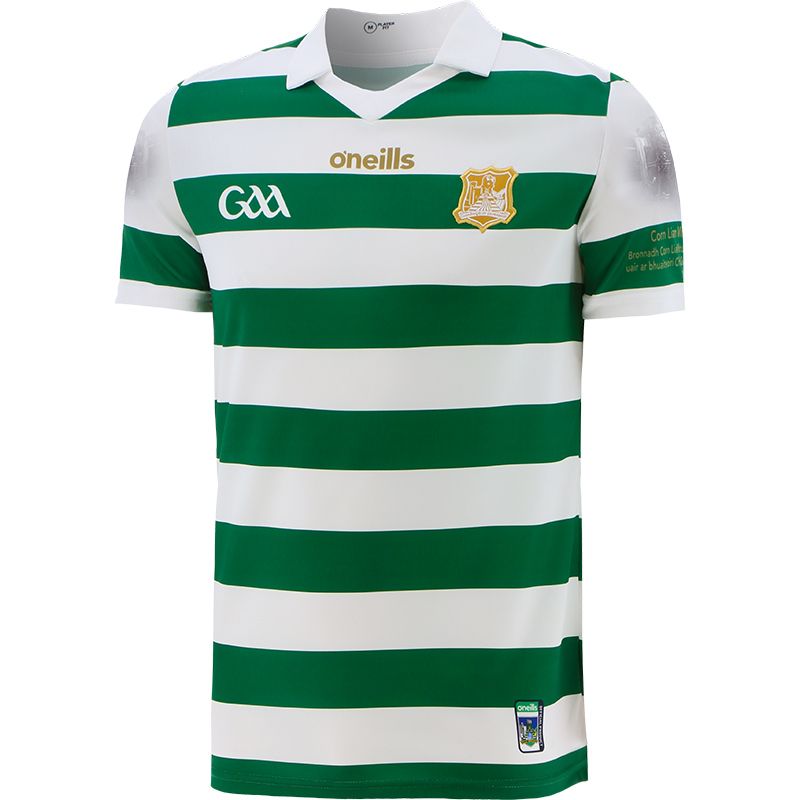 Limerick Kids Commemoration Jersey 2001 Limerick Kids Commemoration Jersey 2001