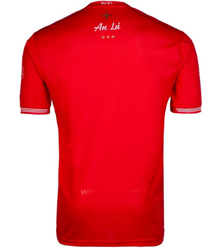 Alternative view of Louth GAA 2019 Home Jersey