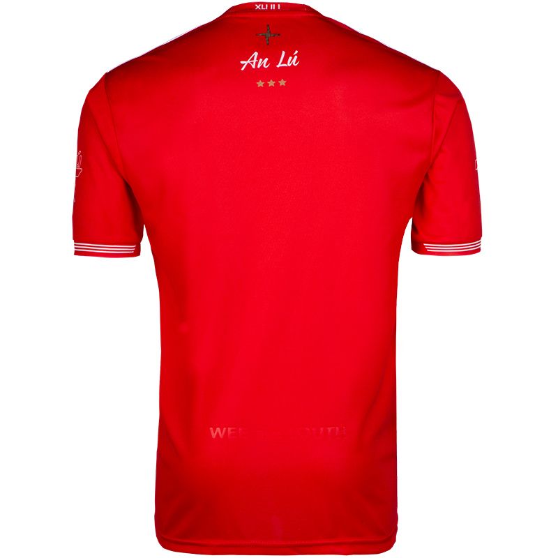 Louth GAA 2019 Home Jersey Louth GAA 2019 Home Jersey - Image 2