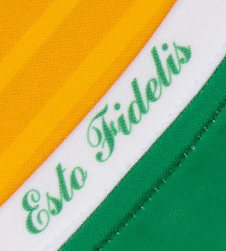 Offaly GAA 2020 Home Jersey Offaly GAA 2020 Home Jersey