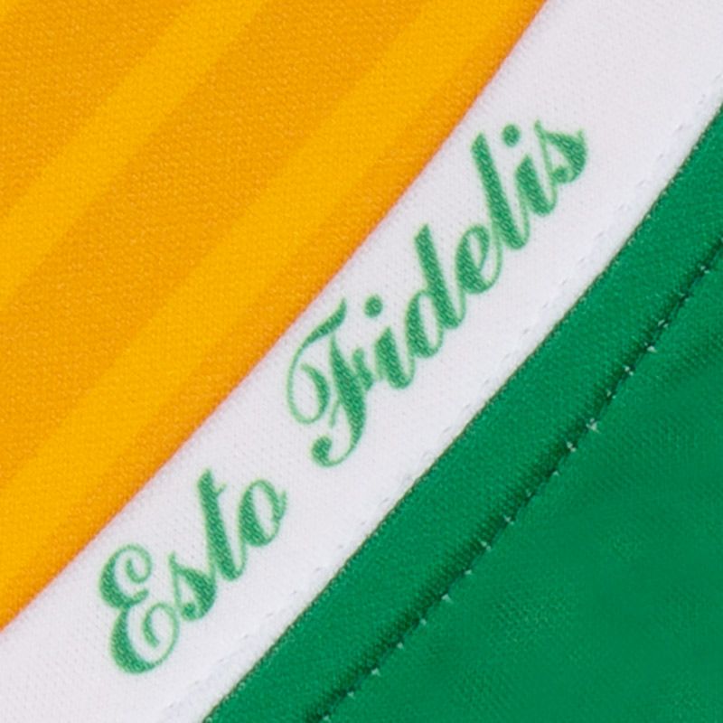 Offaly GAA 2020 Home Jersey Offaly GAA 2020 Home Jersey - Image 3