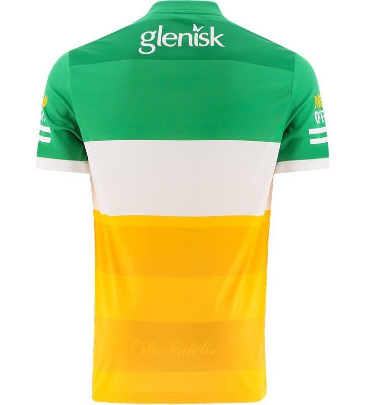 Alternative view of Offaly 2022 GAA Jersey