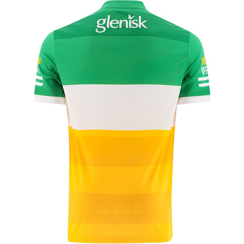 Offaly 2022 GAA Jersey Offaly 2022 GAA Jersey - Image 2