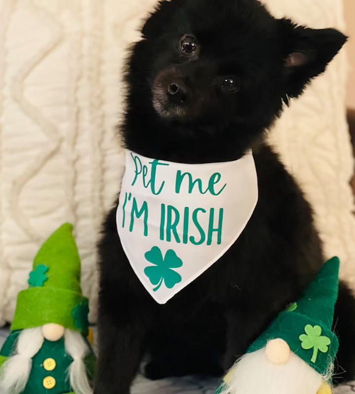Pet Me I'm Irish Dog Bandana