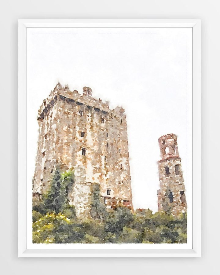 Cork Blarney Castle Wall Art