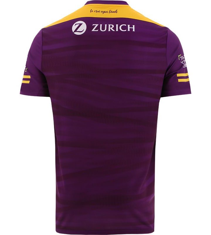 Alternative view of Wexford GAA 2022 Home Jersey