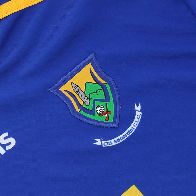 Wicklow GAA 2021 Home Jersey Wicklow GAA 2021 Home Jersey - Image 3
