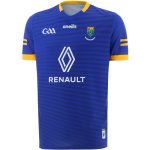 Wicklow GAA 2022 Home Jersey