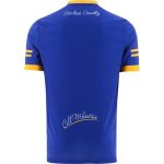 Wicklow GAA 2022 Home Jersey Wicklow GAA 2022 Home Jersey