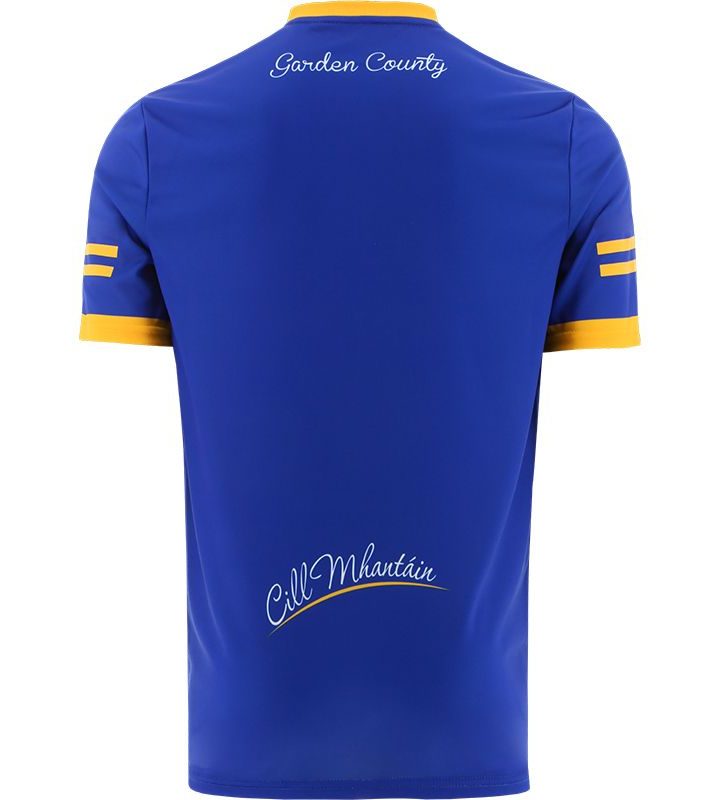 Alternative view of Wicklow GAA 2022 Home Jersey