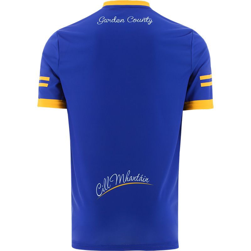 Wicklow GAA 2022 Home Jersey Wicklow GAA 2022 Home Jersey - Image 2