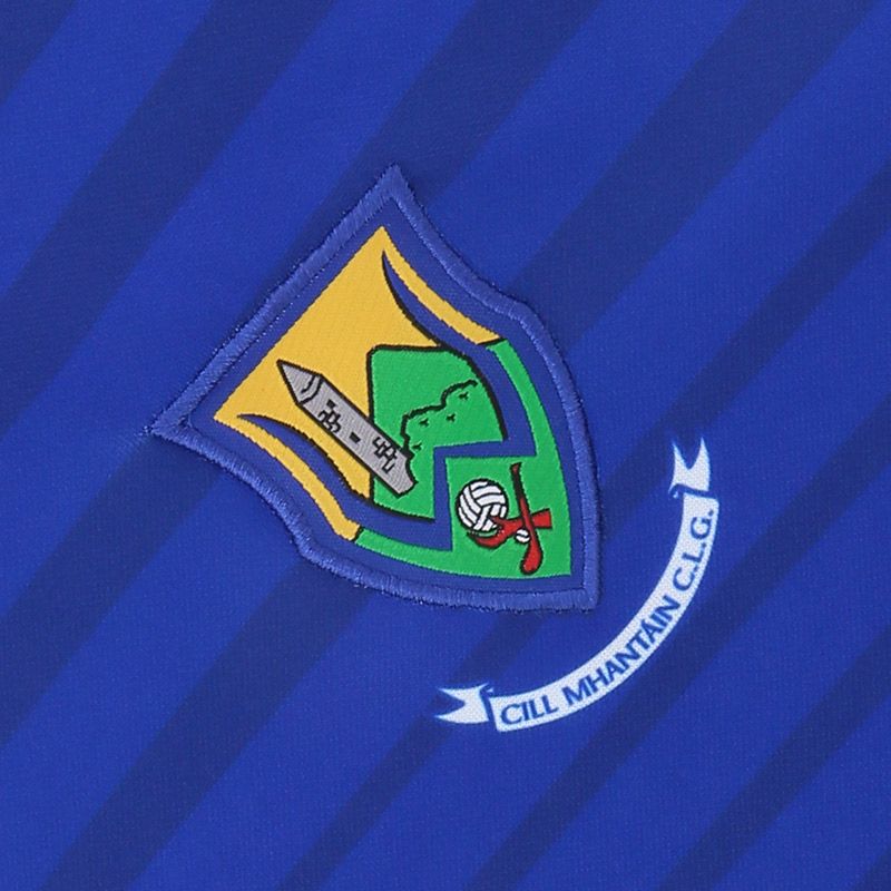 Wicklow GAA 2022 Home Jersey Wicklow GAA 2022 Home Jersey - Image 3