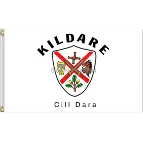 Kildare Flag