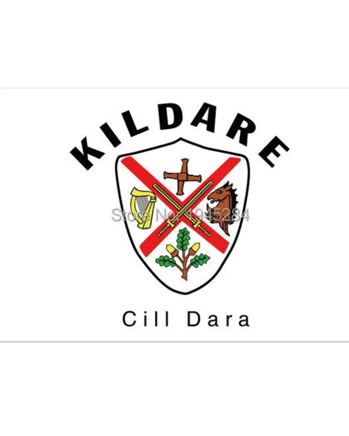 Kildare Flag