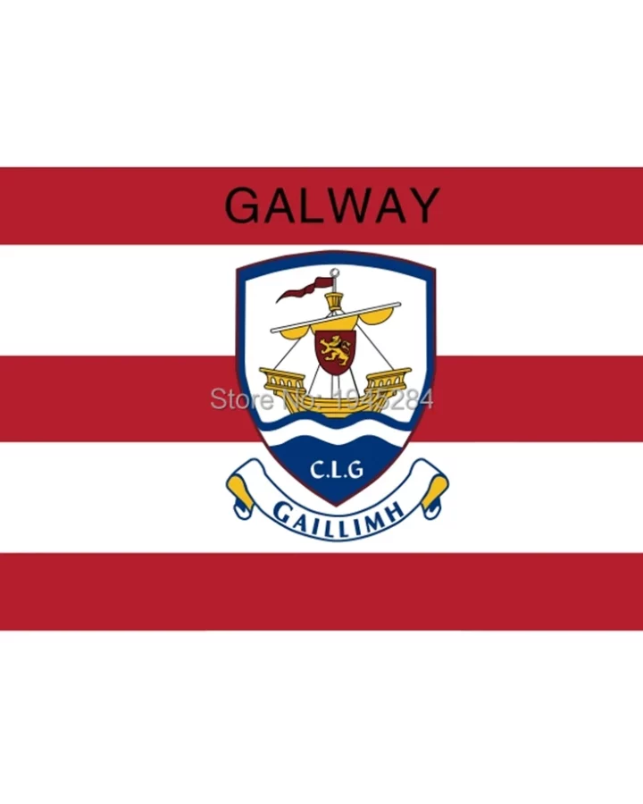 Galway Flag