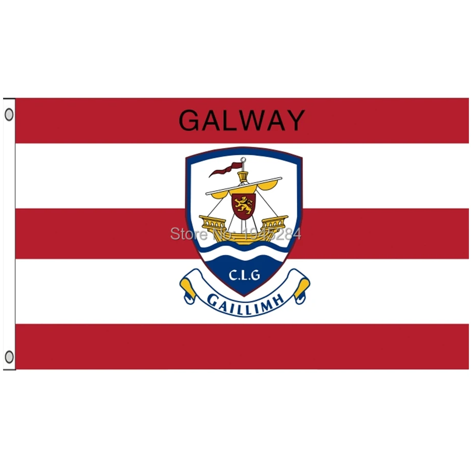 Galway Flag Galway Flag