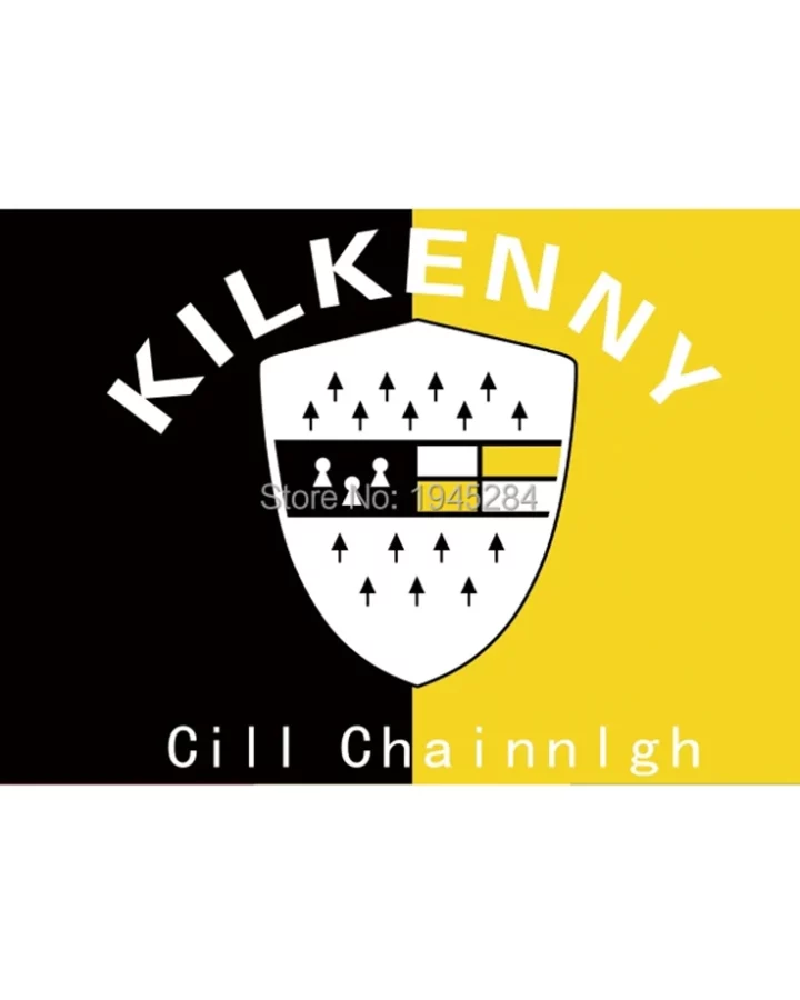 Kilkenny County Flag