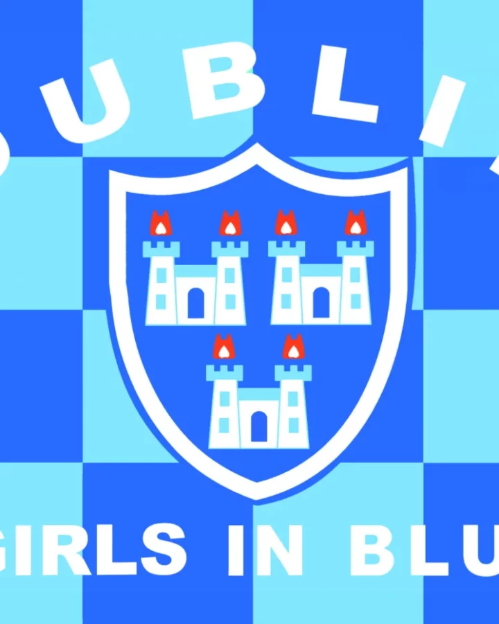 Dublin Flag Dublin Flag