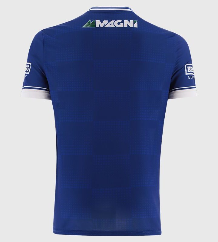 Alternative view of Laois GAA 2025 Home Jersey