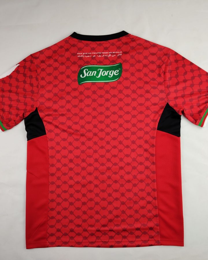 Palestinian 2024-25 Special Edition Jersey