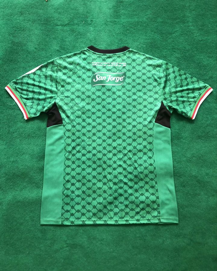 Palestine 2024-25 Flower Green Jersey