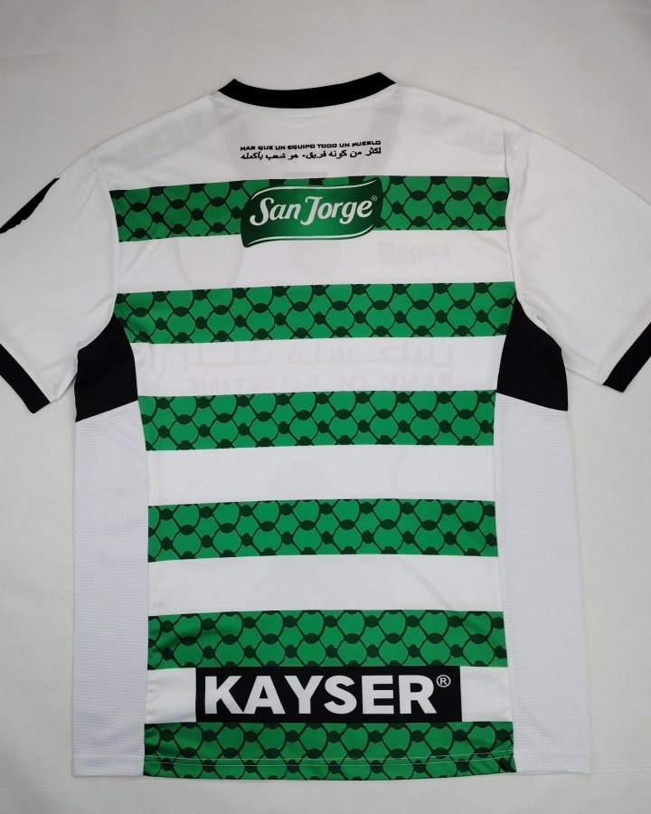 Palestine 2024/25 White And Green Special Jersey