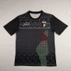 Palestine 2024 Vintage Barbed Jersey