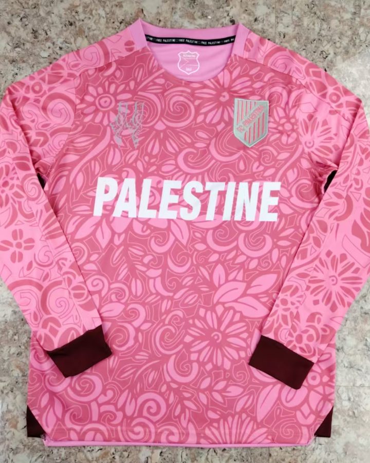 Palestine 2023/24 Long Sleeve Camouflage Pink Jersey