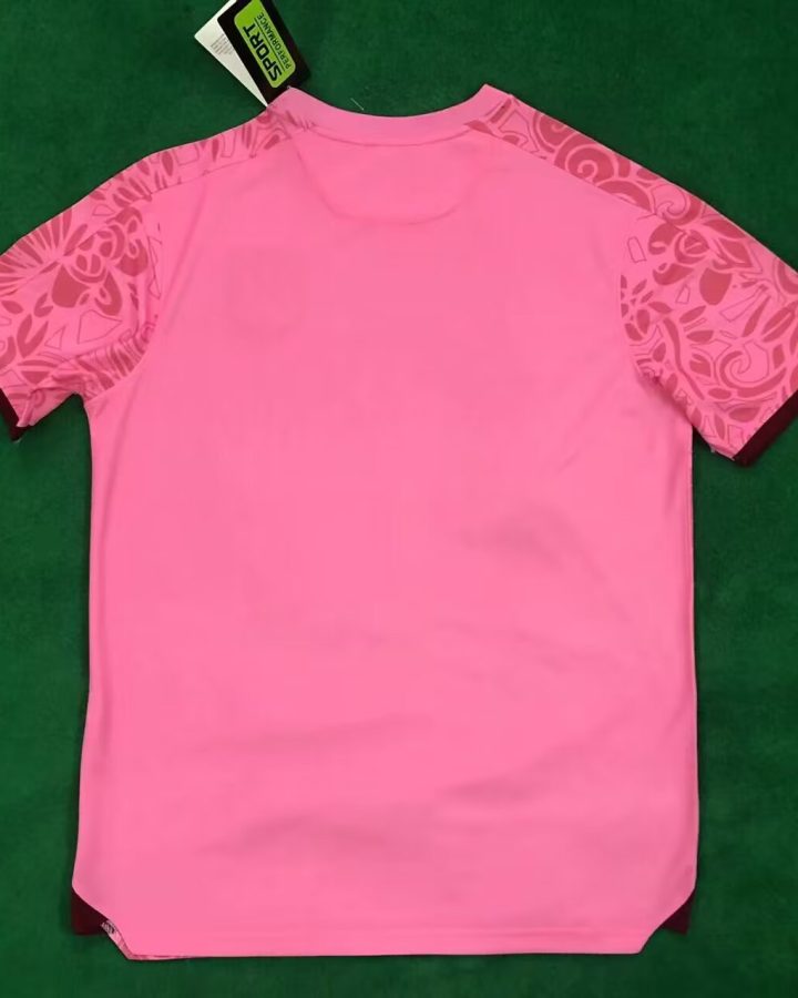 Palestine 2023/24 Camouflage Pink Jersey