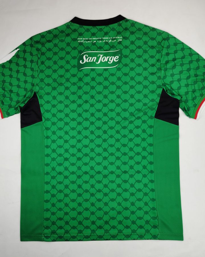 Palestine 24/25 Green Special Pali Jersey