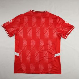 Palestine 2024/25 National Team Red Jersey