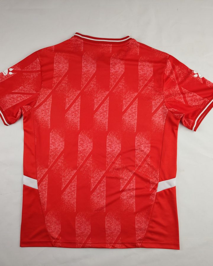 Palestine 2024/25 National Team Red Jersey