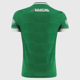 Laois GAA Player Fit Goalkeeper Jersey 2025